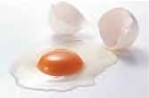 卵（Mサイズ1個：約50g）